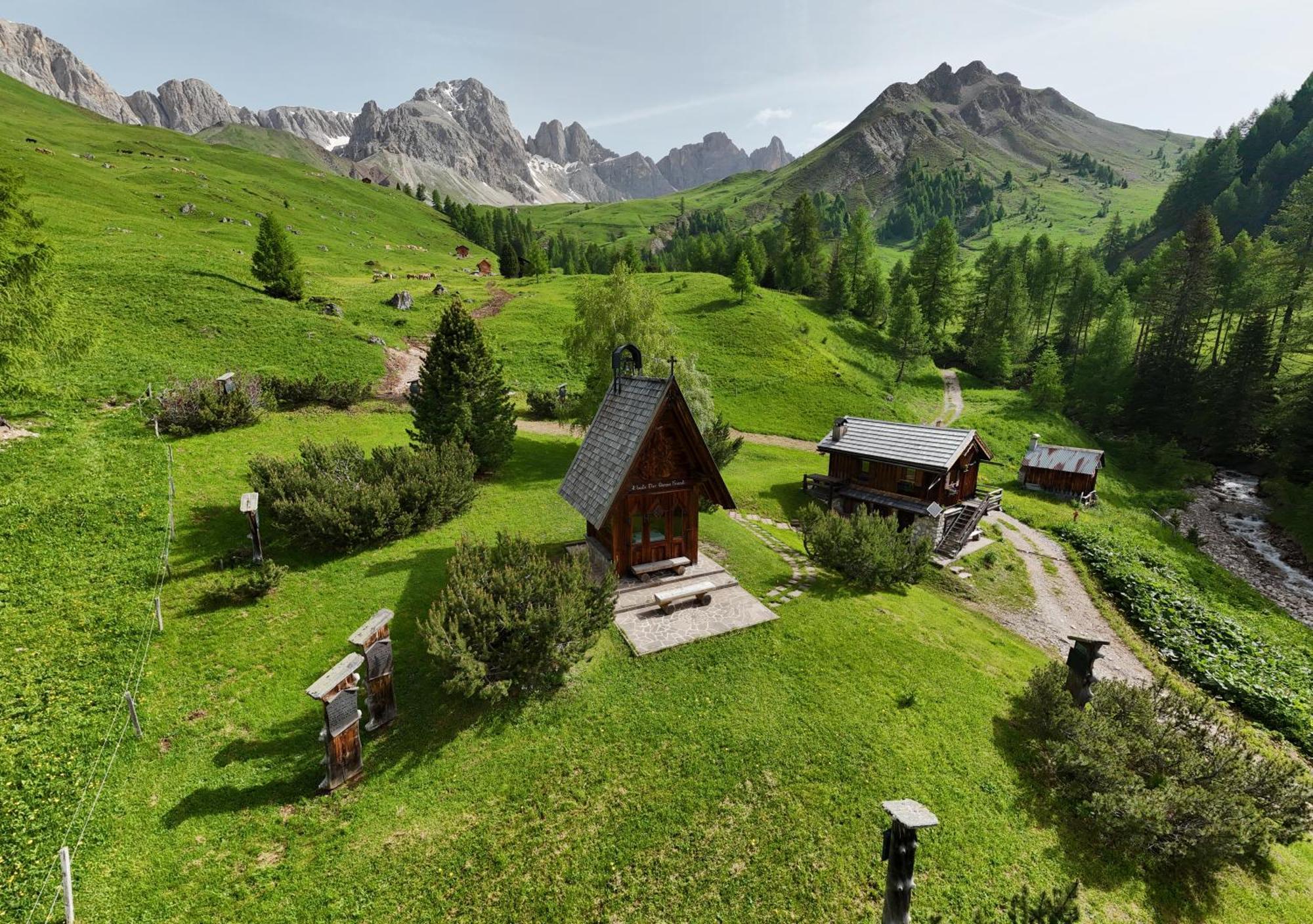Rifugio Flora Alpina Hotel Passo San Pellegrino Eksteriør billede